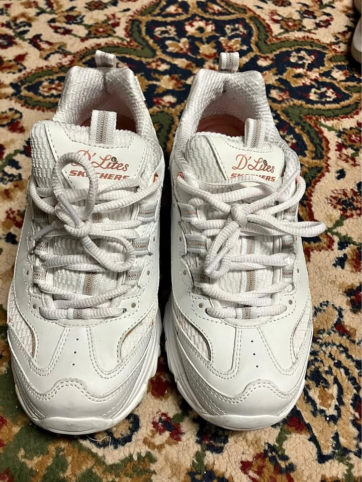 Sketcher 6.5