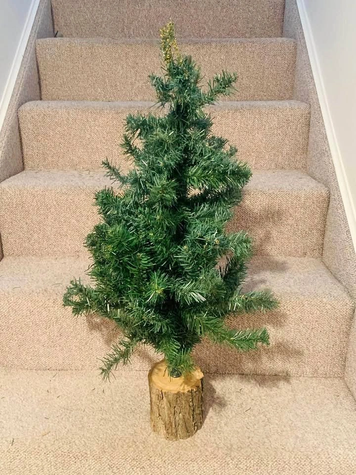 XMAS Trees and Winter Decor