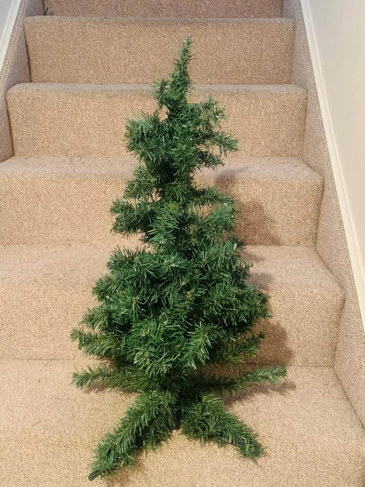 XMAS Trees and Winter Decor - photo 2