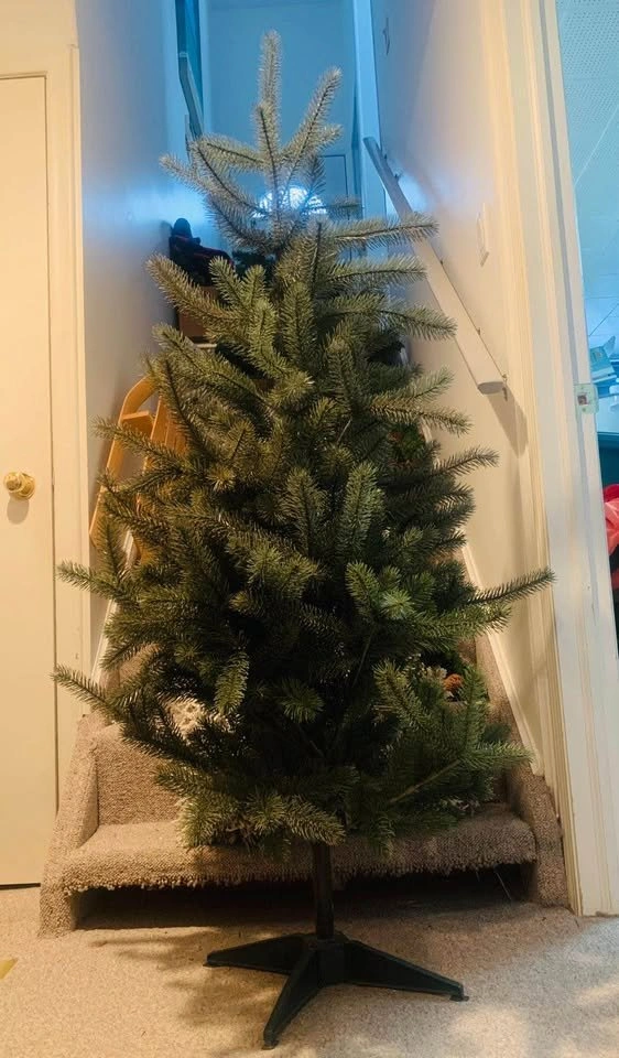 XMAS Trees and Winter Decor - photo 4