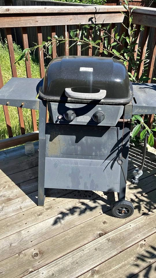 Backyard grill