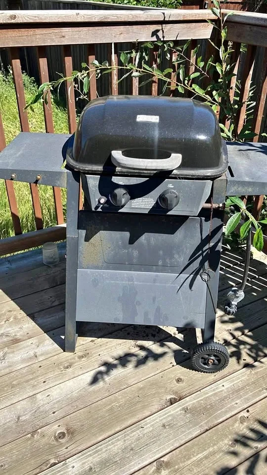 Backyard grill