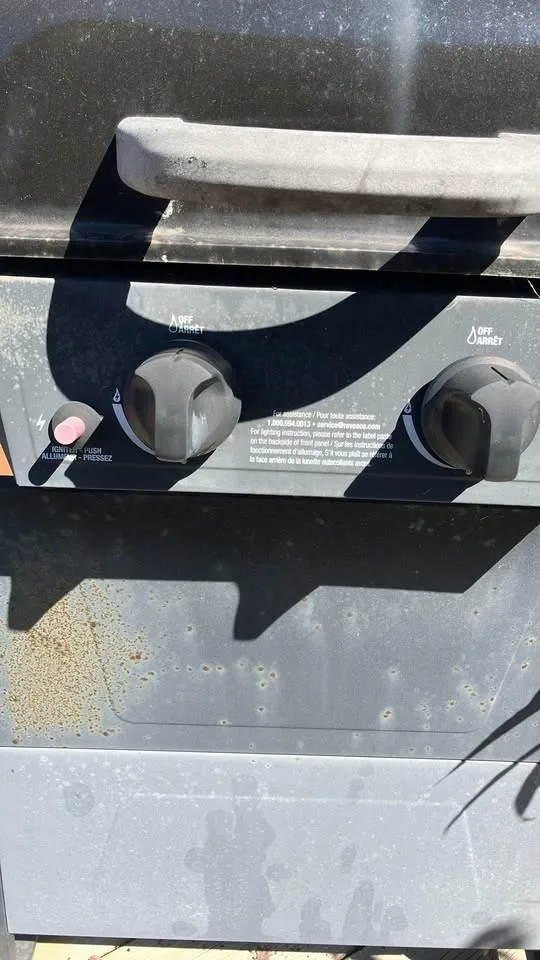 Backyard grill - photo 3