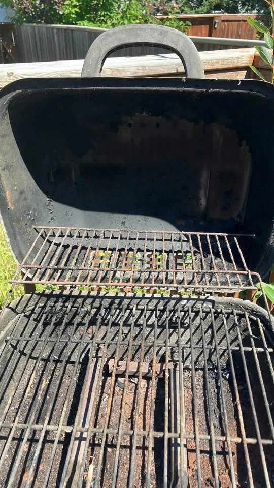 Backyard grill - photo 4