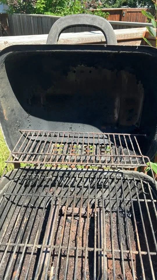 Backyard grill - photo 4