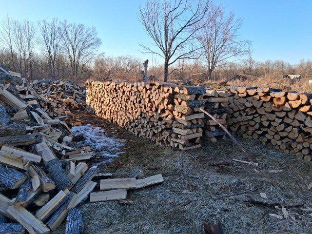 Ash Firewood - Cut This Winter