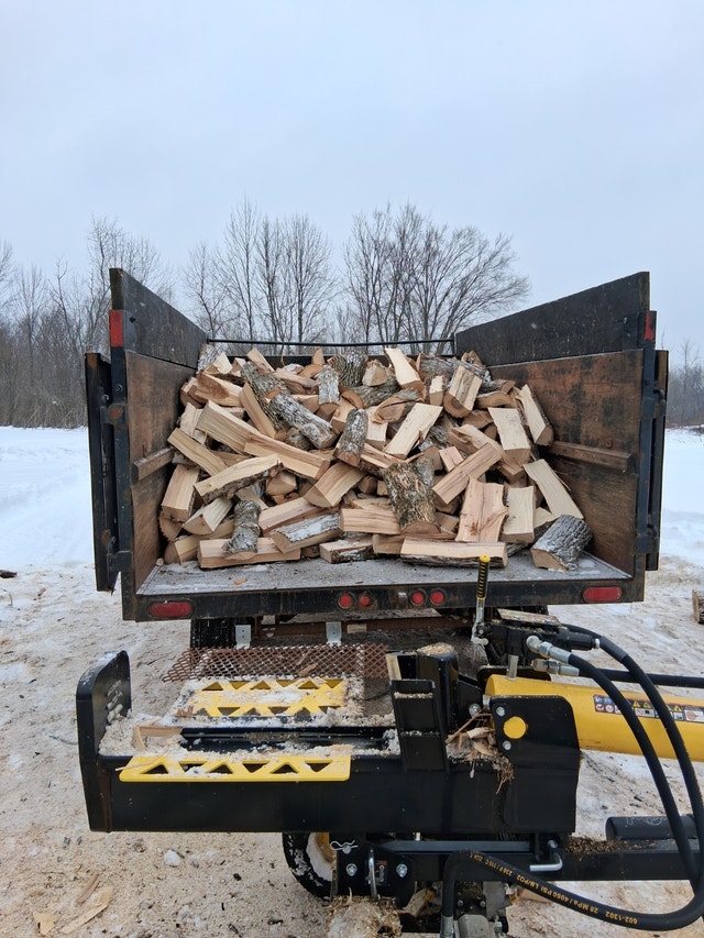 Fresh Cut Firewood