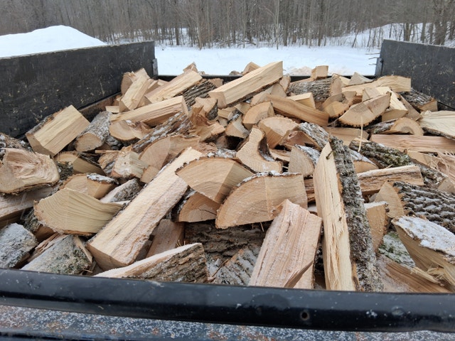 Fresh Cut Firewood - photo 2