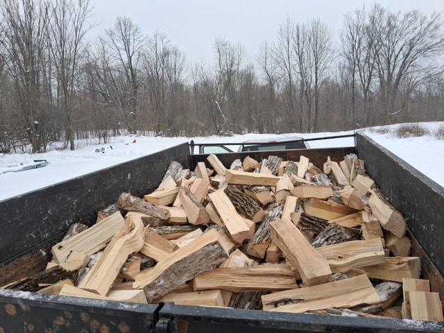 Fresh Cut Firewood - photo 3