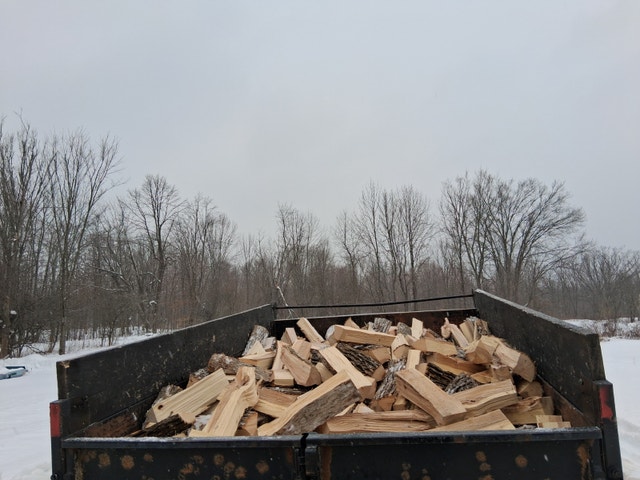 Fresh Cut Firewood - photo 4