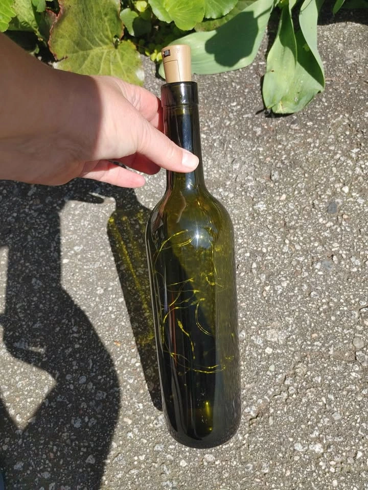 Rent 12 Lighted Wine Bottles w/ Cork LED Fairy Lights - photo 3