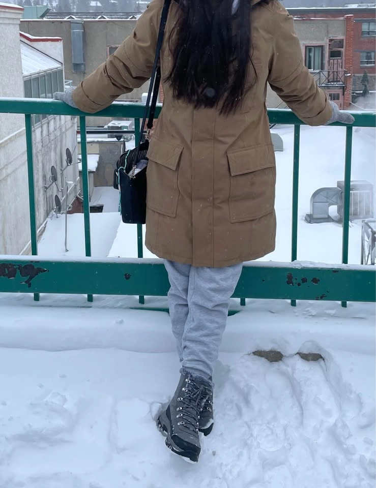 Aritzia Bancroft Parka - Brown (Large) - photo 3