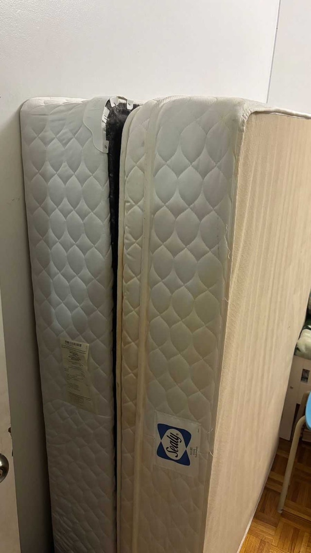 Sealy Queen Mattress and Box