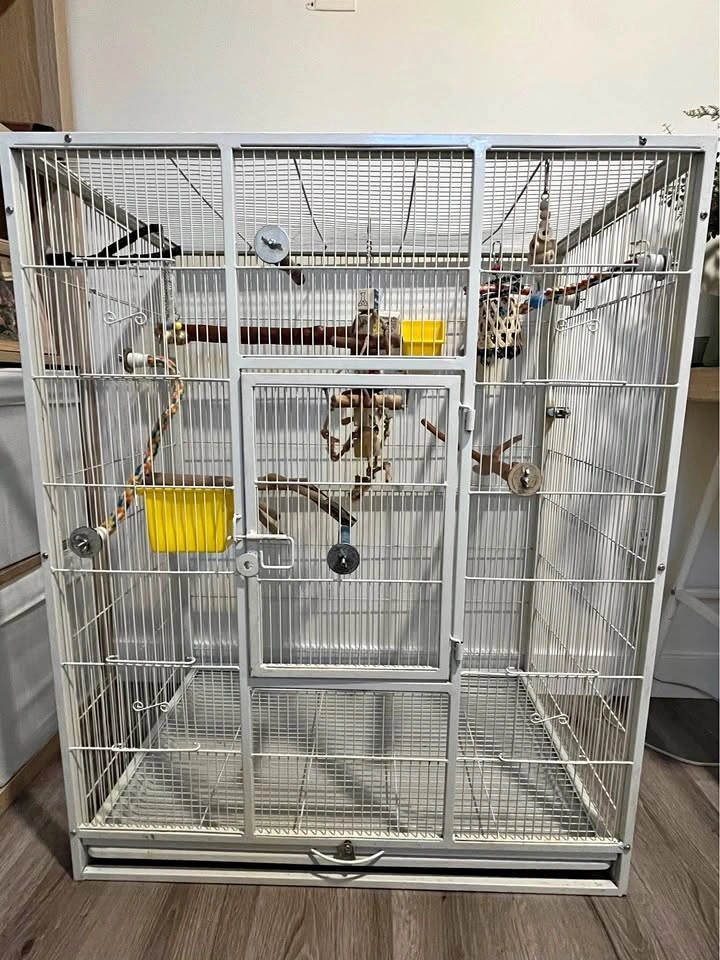 Fully set up bird cage!