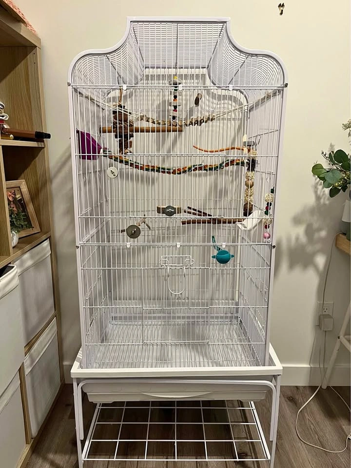 Fully set up bird cage (All living things Multi-Bird cage)