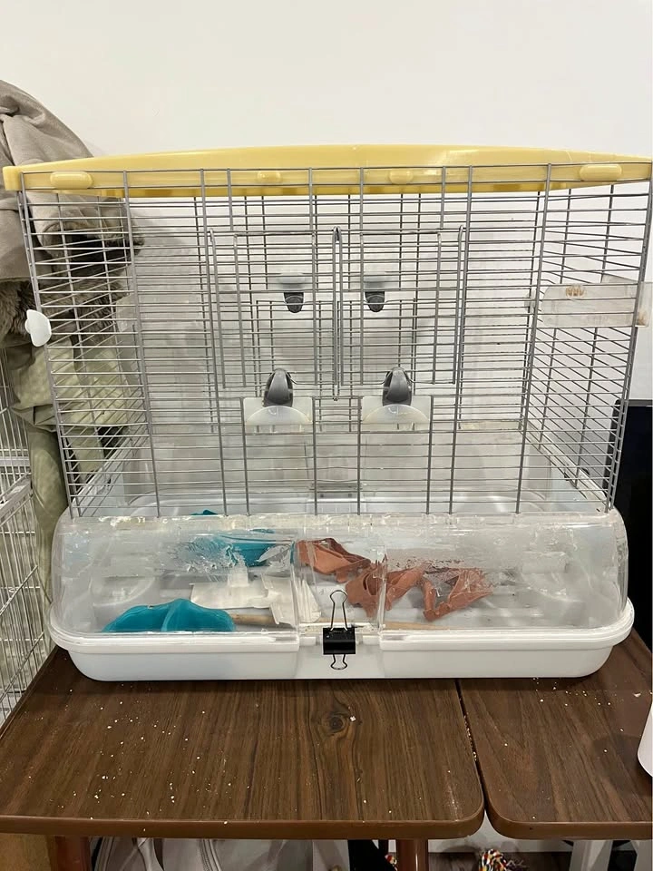 Vision Bird Cage