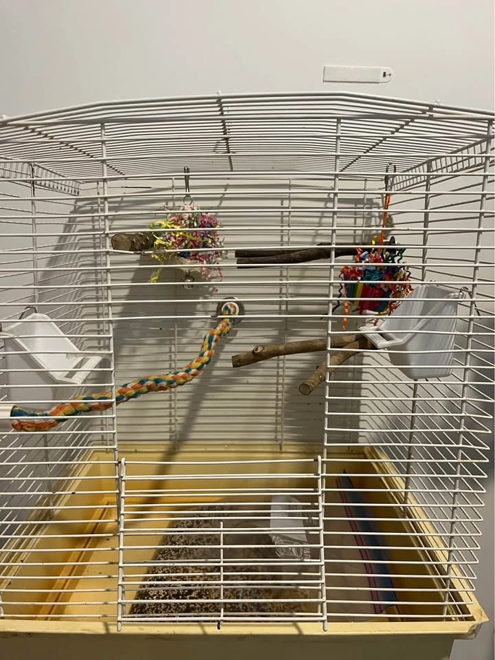 Fully set up bird cage - photo 2