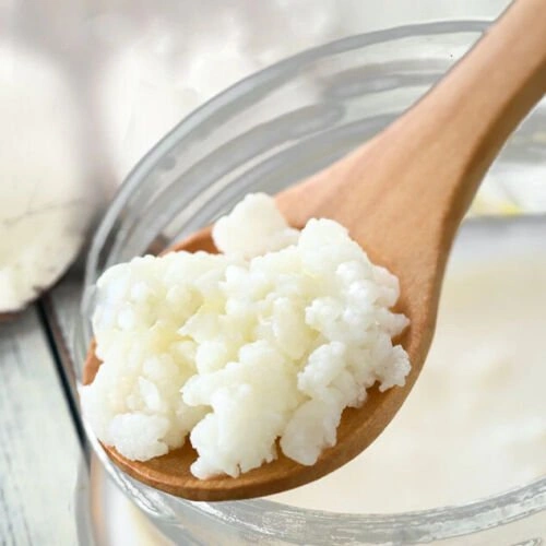 Buy 2 Get 2 Free: Organic Live Milk Kefir Grains w/ Instructions
