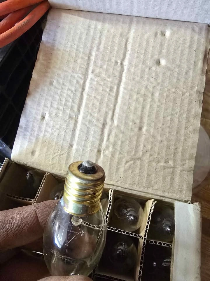 7c9 light bulbs 25 in a box - photo 2