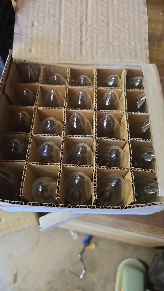 7c9 light bulbs 25 in a box - photo 3