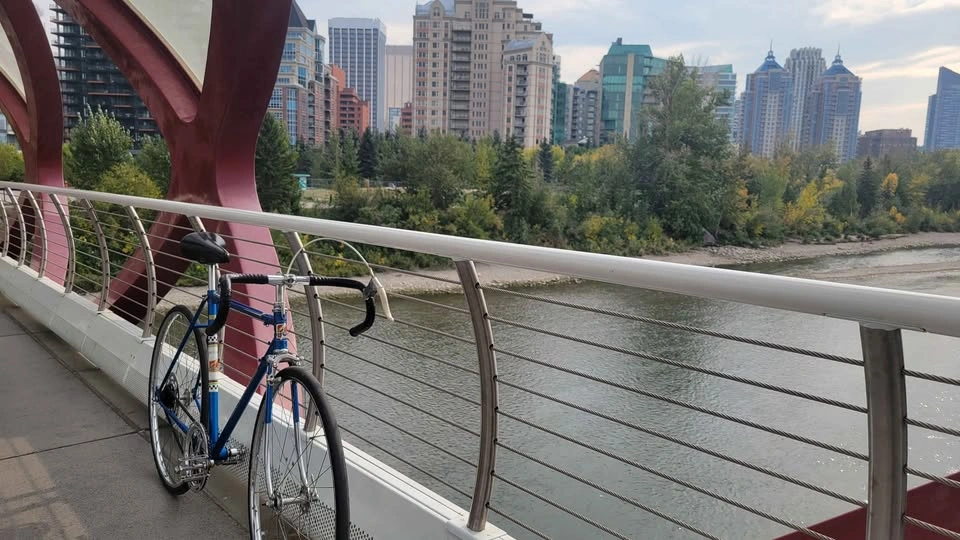 Single Speed Peugeot Road Bike - photo 2