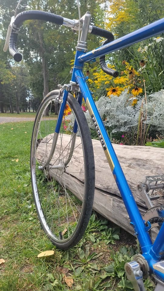 Single Speed Peugeot Road Bike - photo 4