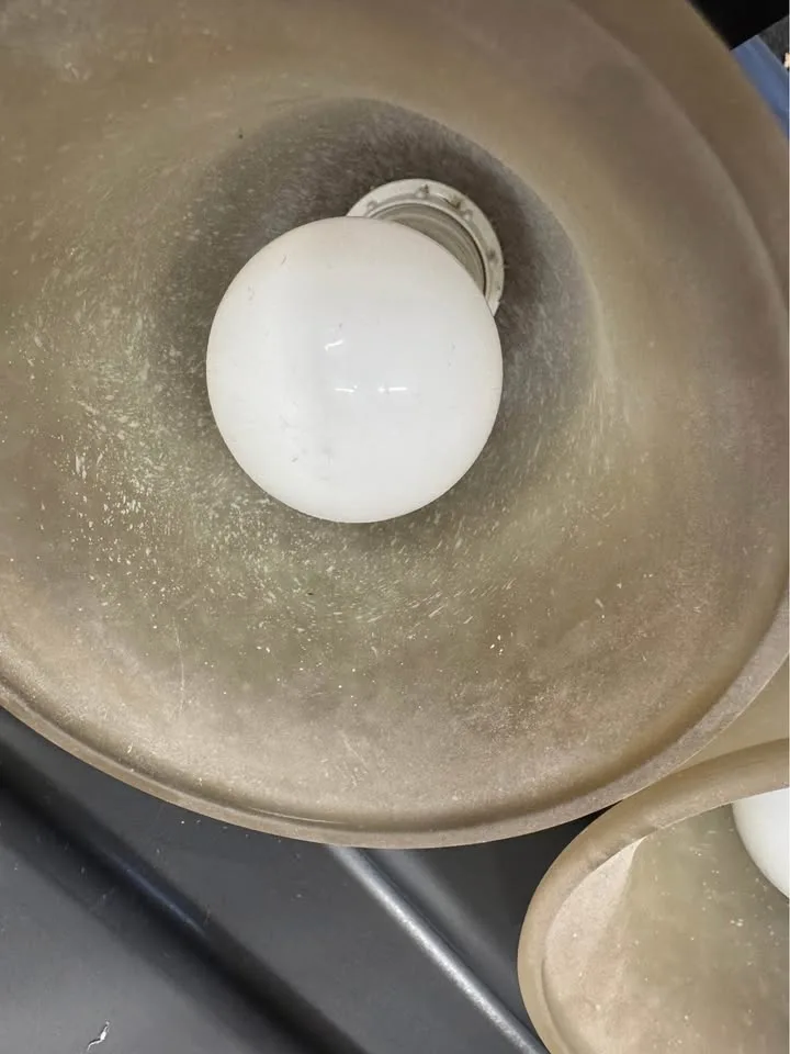 Chandelier – 6 Lights, Frosted Glass (OBO) image indicator(5)