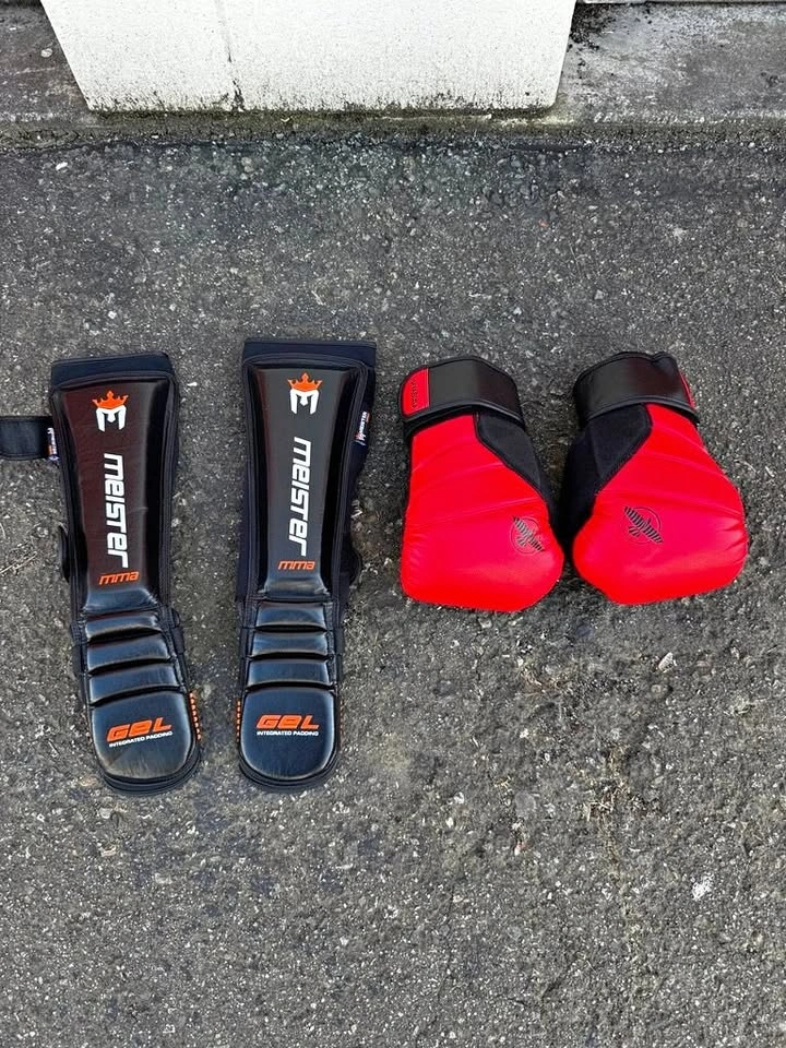 Hayabusa T3 Boxing Gloves + Shin Guards