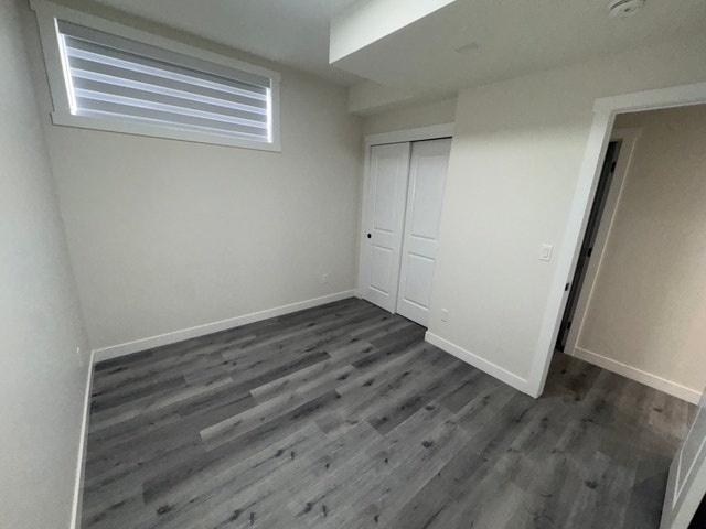 1 bed 1 bath legal basement for rent - photo 4