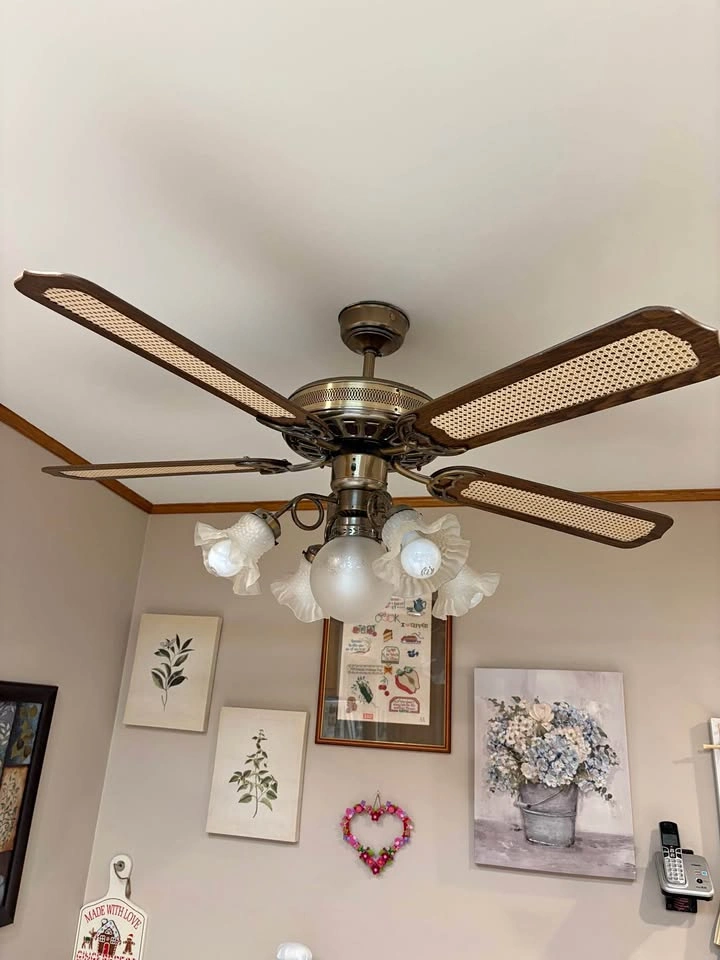 5 Bulb, 5 Blade Ceiling Light Fixture and Fan