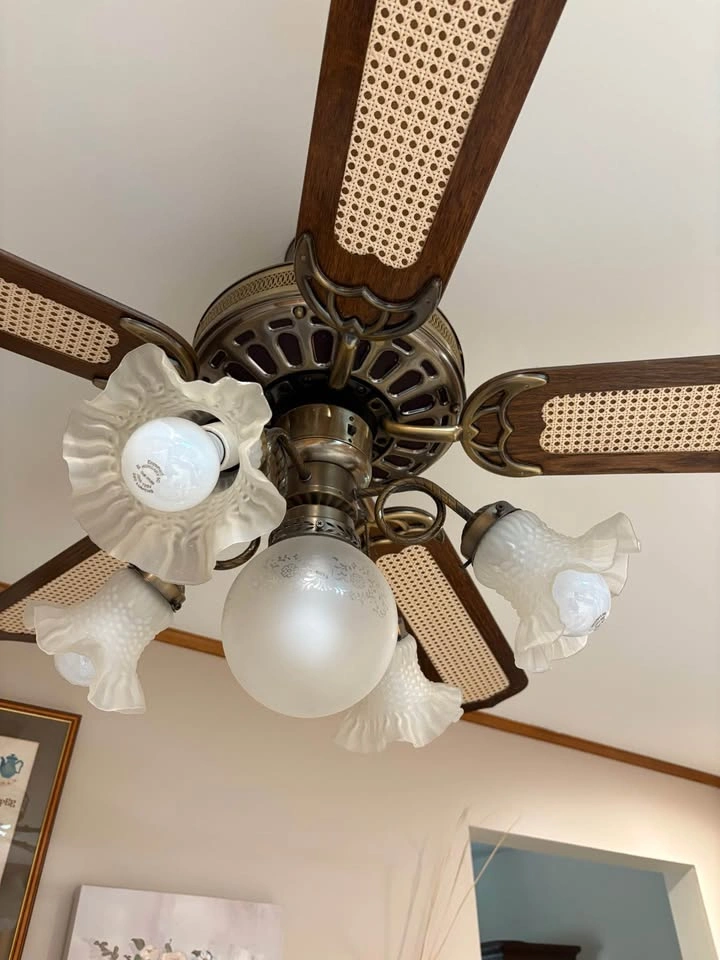 5 Bulb, 5 Blade Ceiling Light Fixture and Fan - photo 2