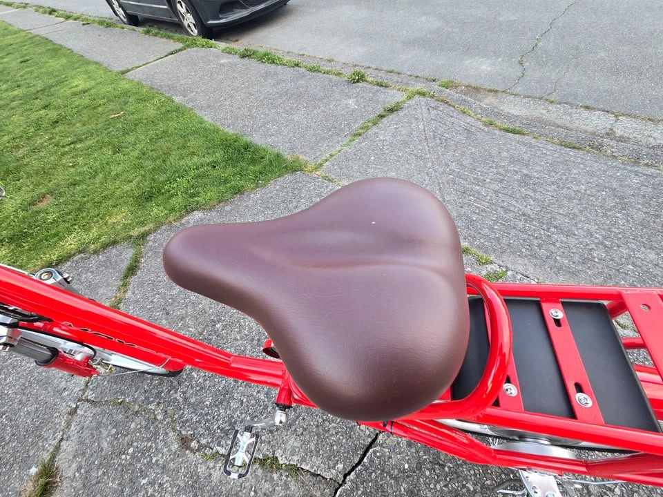 22” E-Bike Clearance – Huge Discount – $299 (Brand New) - photo 5