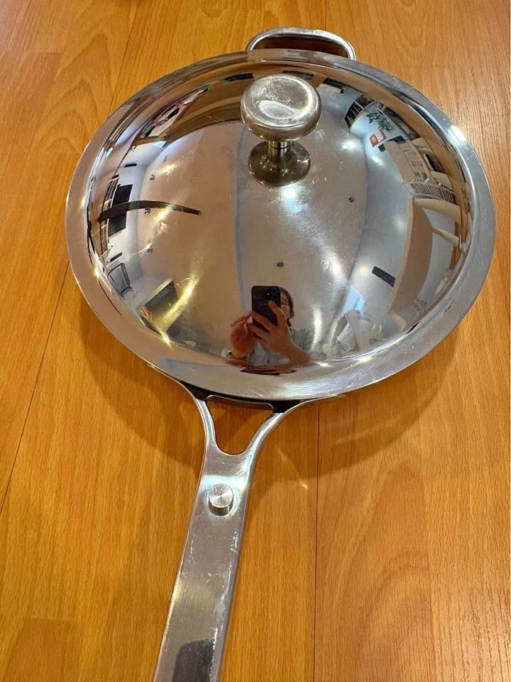 Used Always Pan Pro Pan Standard