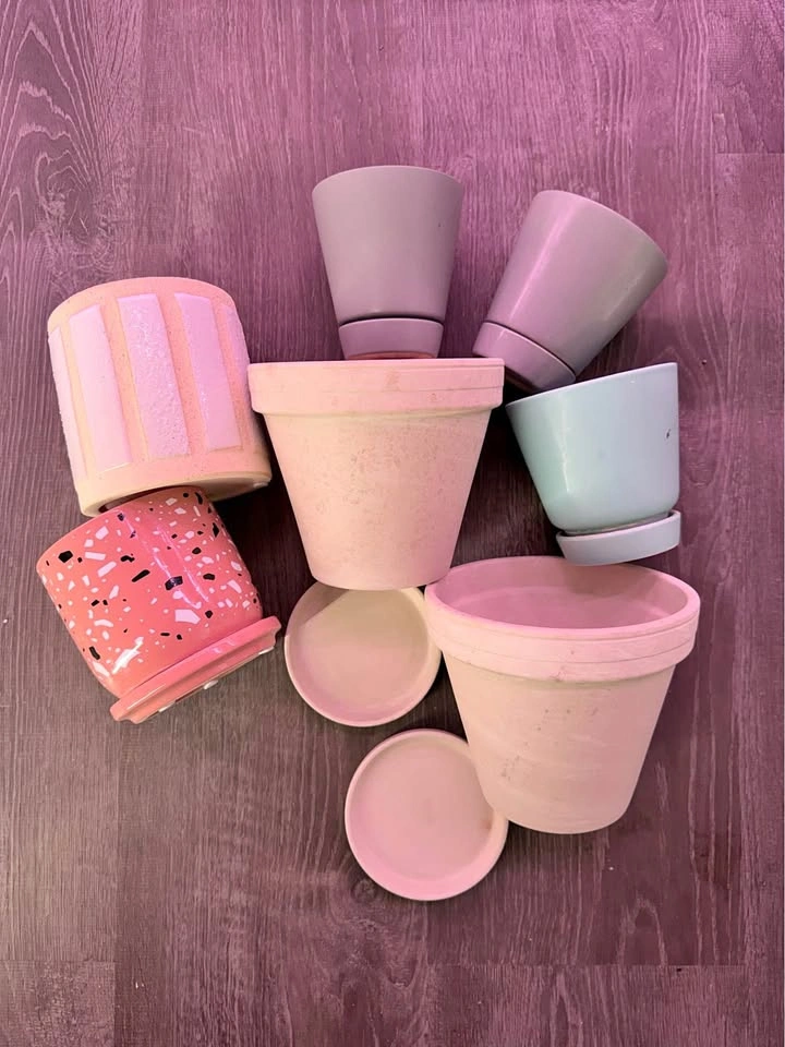 Decorative Pots