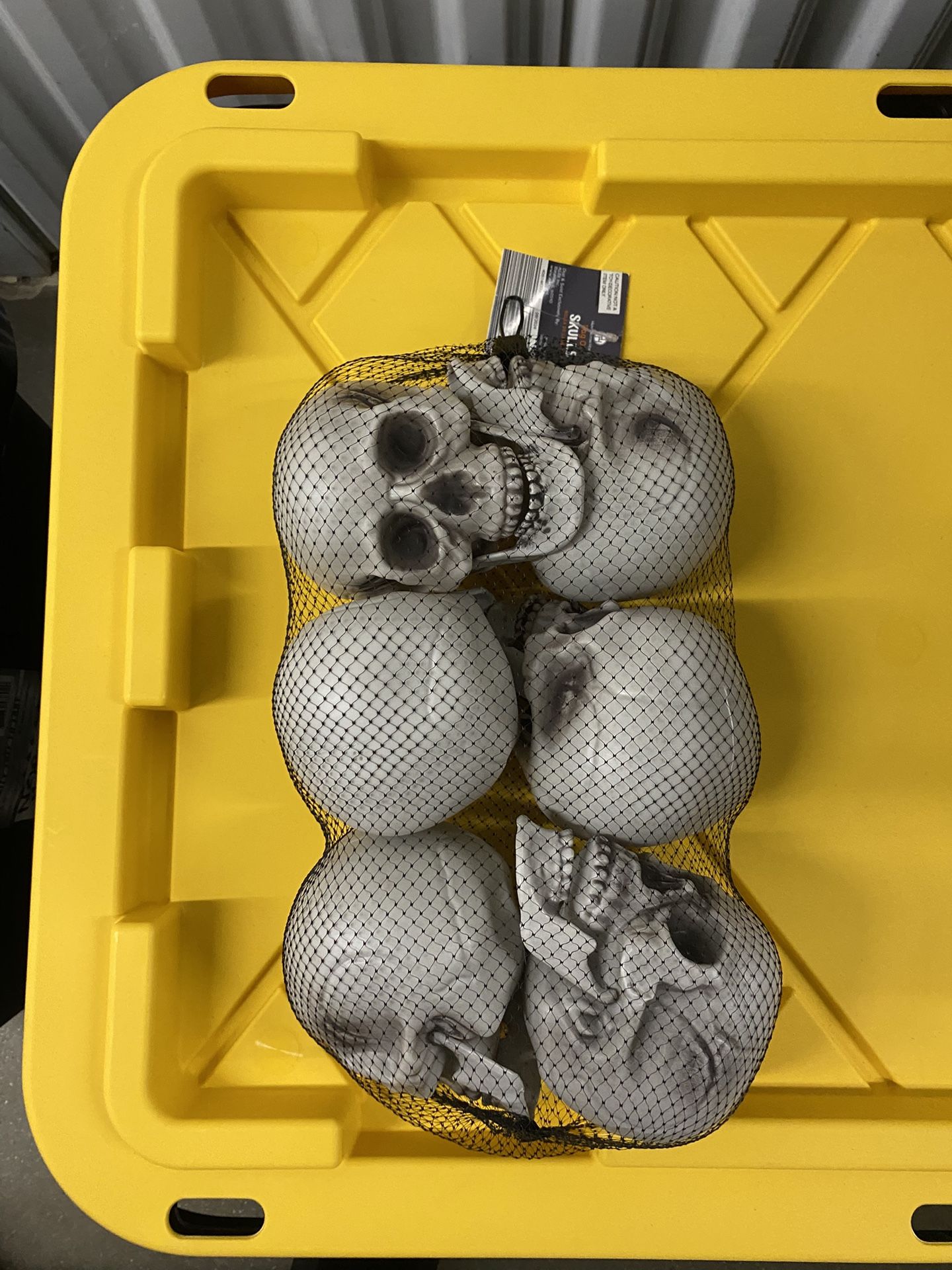 Bag Of Skulls New