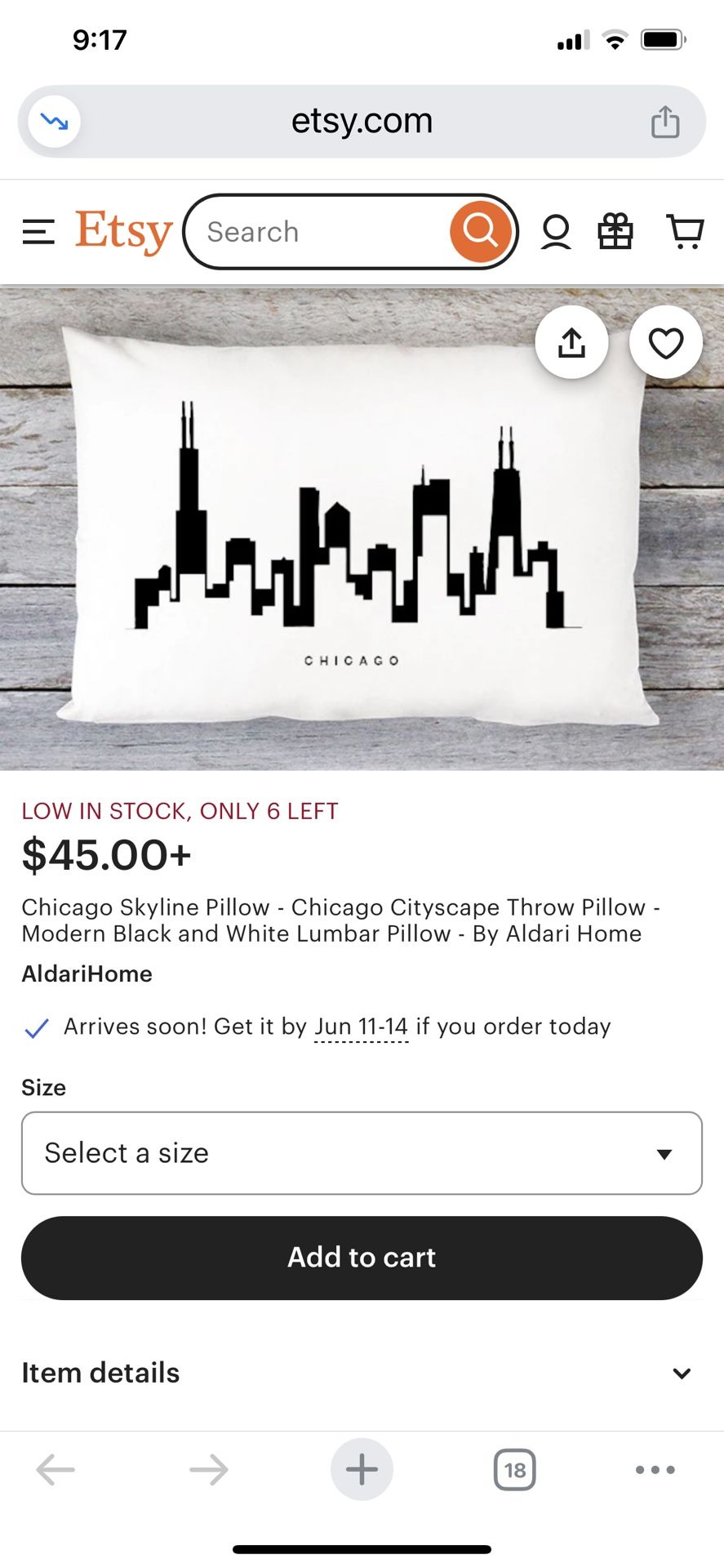 Chicago Throw Pillows - photo 4