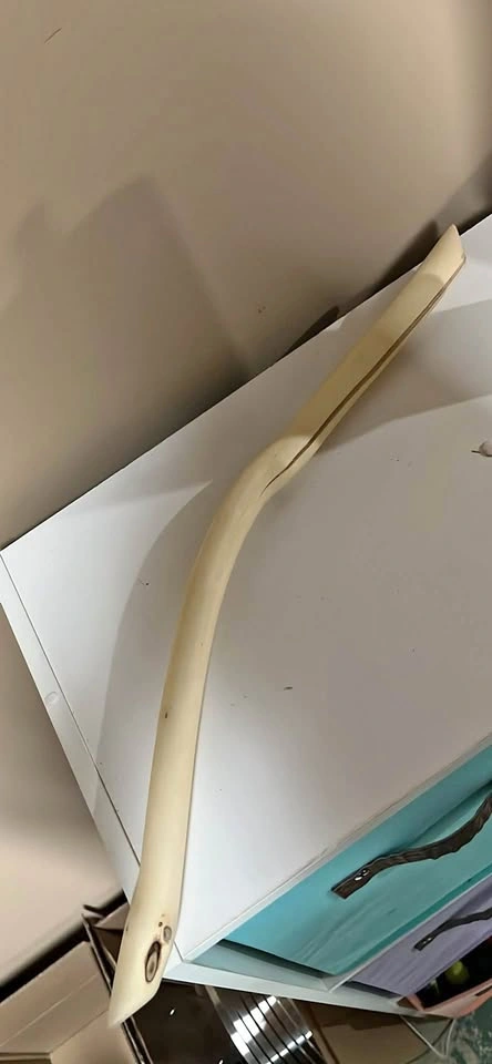 Curved Driftwood Piece Decor