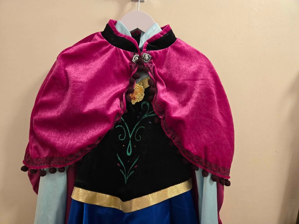 Anna from Frozen Costume Girl 4 to 6 x - photo 3