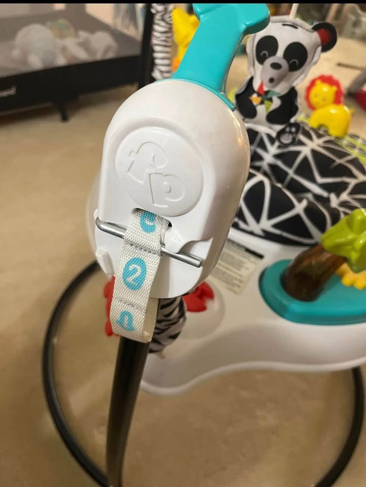 Fisher-Price Jumperoo - photo 3