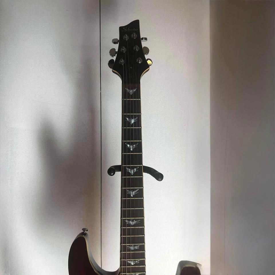2003 Schecter Diamond Series C1 Plus - photo 3