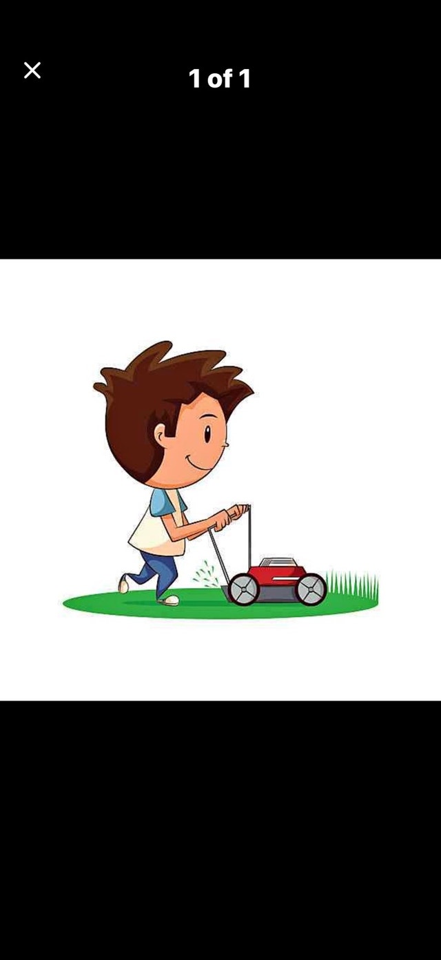 Lawn mowing yard cleanup