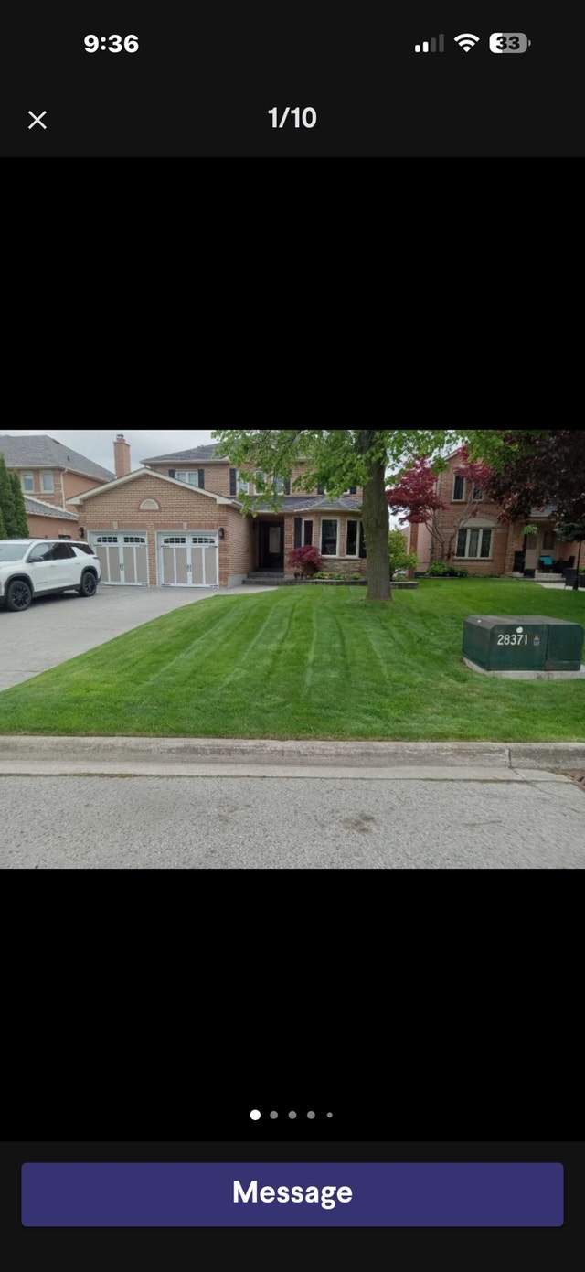 Lawn mowing yard cleanup - photo 2