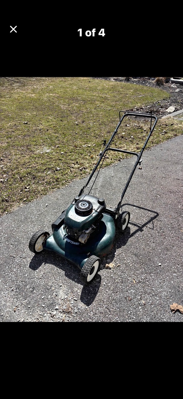 Lawn mowing yard cleanup - photo 3