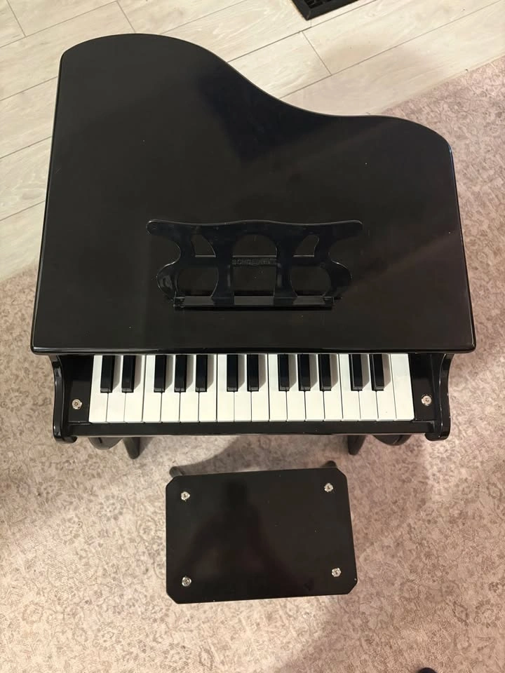 Schoenhut Baby Grand Kids Piano with Bench - photo 2