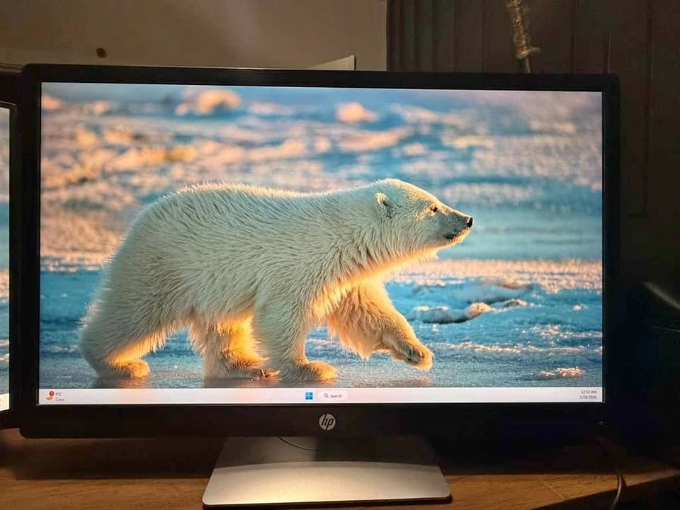 HP EliteDisplay E240q Monitor