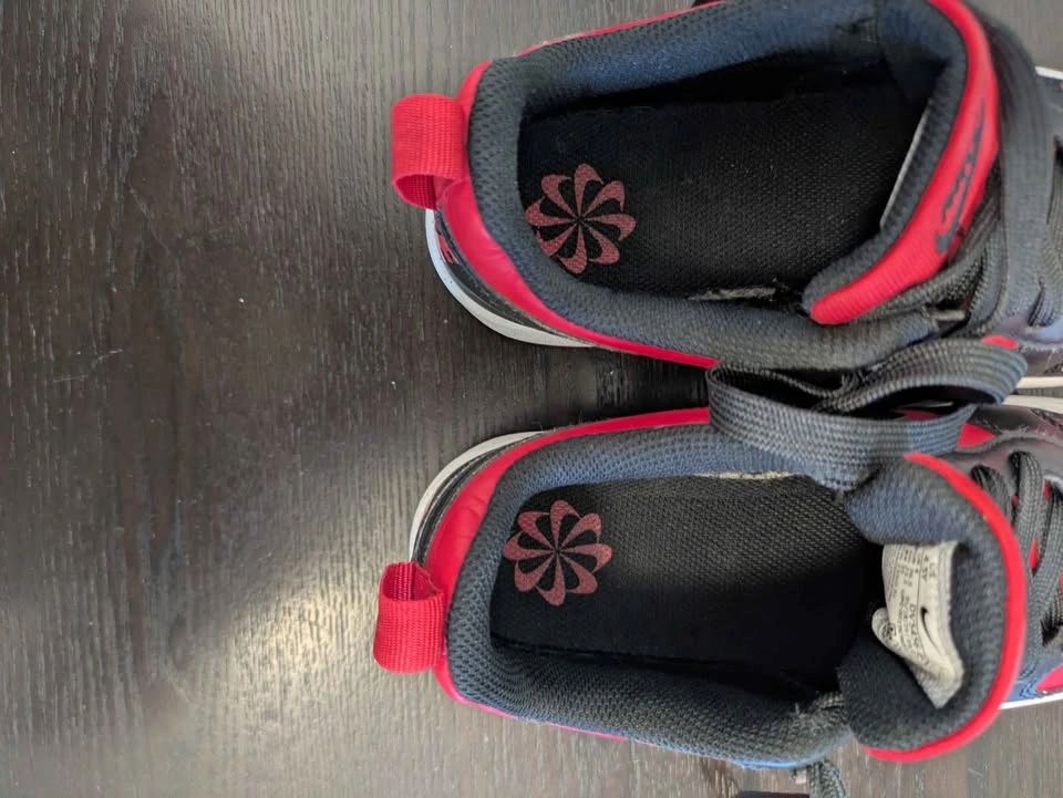 Nike Dunks Low - photo 4