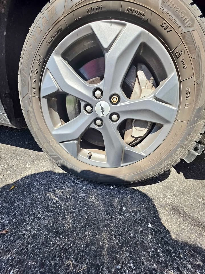 Goodyear Winter Tires on Rims with Mustang Logo