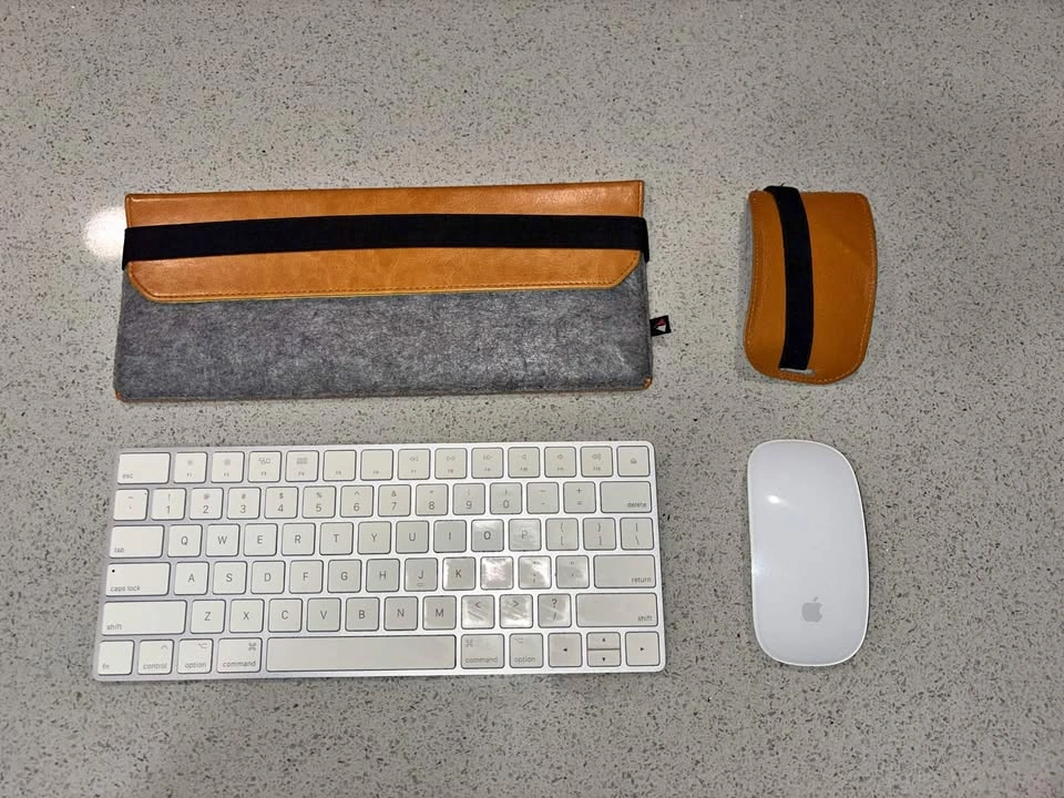 Apple Magic Keyboard + Magic Mouse + Cases