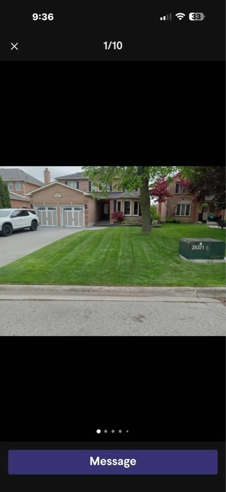 Lawn Cutting & Yard Cleanup