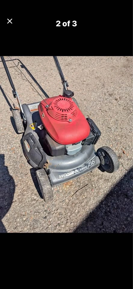Lawn Cutting & Yard Cleanup - photo 3